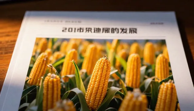 提升市场竞争力的团队检查要点解析