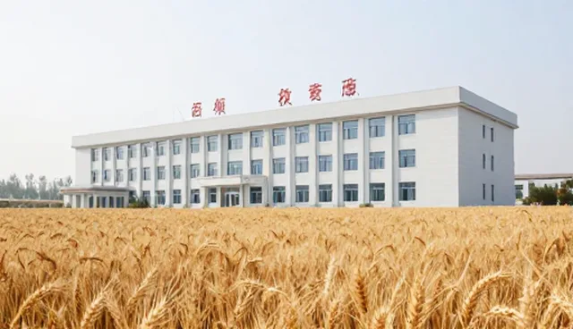 人员配置失衡如何影响技术服务效果